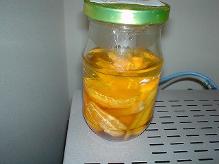DSC00049.jpg