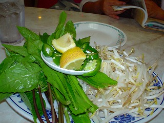 DSC00873.jpg