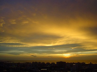 DSC00913.jpg