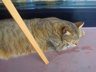 DSC00924.jpg