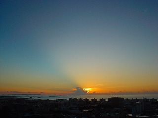 DSC01102.jpg