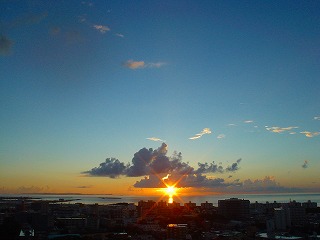 DSC01110.jpg
