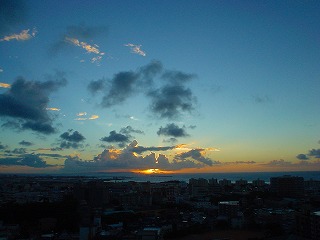 DSC01207.jpg