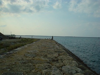 DSC01362.jpg