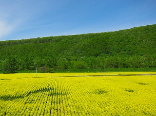 IMG_0142.jpg