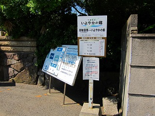 IMG_0174.jpg