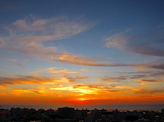 IMG_0200.jpg