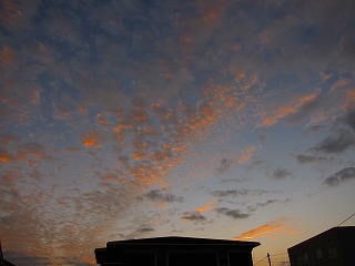IMG_0403.jpg