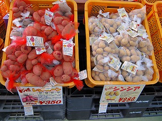IMG_0470.jpg