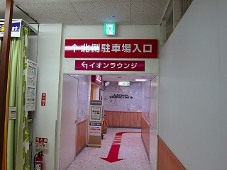 IMG_0481.jpg