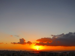 IMG_0503.jpg