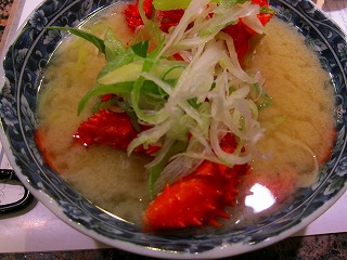 IMG_0528.jpg