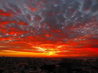 IMG_0610.jpg