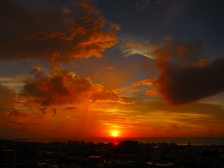 IMG_1094.jpg