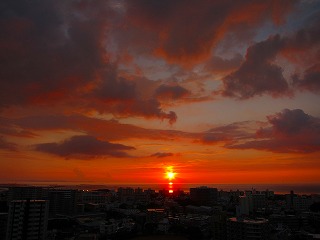 IMG_1098.jpg