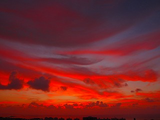 IMG_1099.jpg
