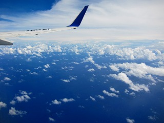 IMG_1113.jpg