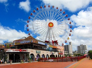IMG_1139.jpg