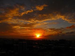 IMG_1150.jpg