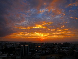 IMG_1151.jpg