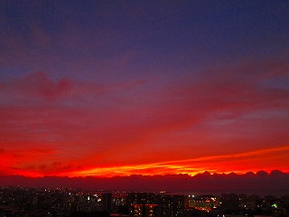 IMG_1184.jpg