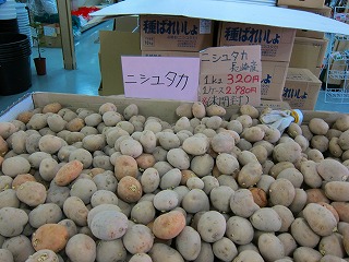 IMG_1196.jpg