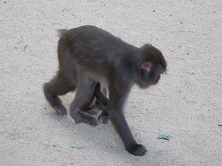 IMG_1254.jpg