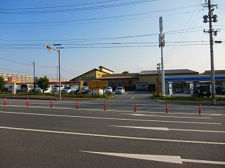 IMG_1290.jpg