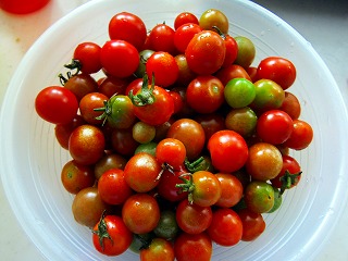 IMG_1692.jpg