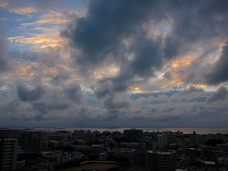 IMG_1696.jpg