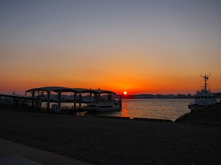 IMG_1712.jpg