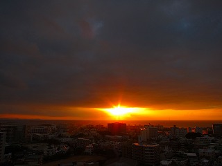 IMG_1766.jpg