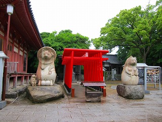 IMG_1802.jpg