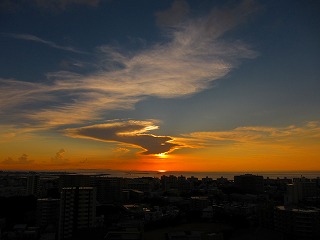 IMG_2384.jpg
