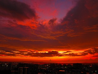 IMG_2389.jpg