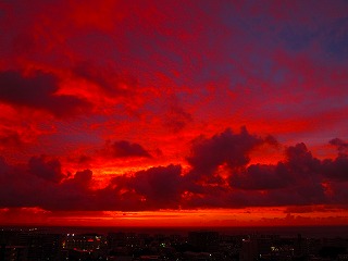 IMG_2395.jpg