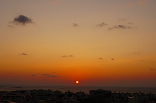 DSC00206.jpg