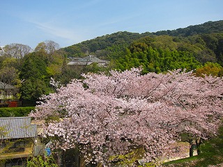 IMG_3158.jpg