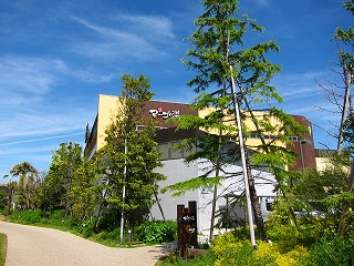 IMG_3317.jpg