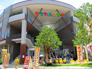 IMG_3382.jpg