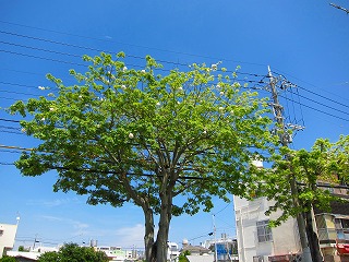 IMG_3401.jpg