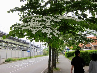 IMG_3859.jpg