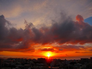 IMG_3944.jpg