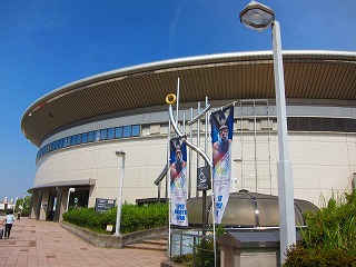 IMG_4047.jpg