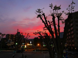 IMG_4133.jpg