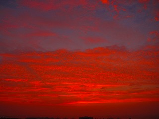 IMG_4143.jpg