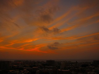 IMG_4185.jpg
