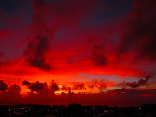 IMG_4190.jpg