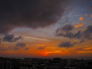 IMG_4196.jpg