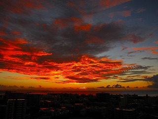 IMG_4198.jpg
